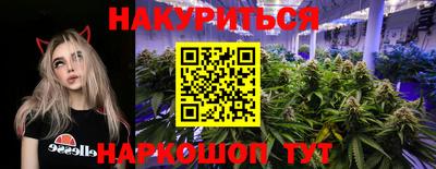 сатива Ливны