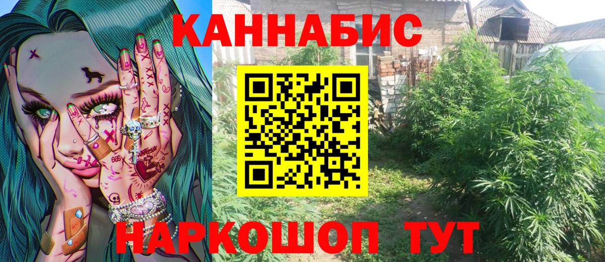 Зеленогорск  Марихуана конопля  Вход с VPN  Бошки Шишки марихуана  Конопля SATIVA & INDICA  Бошки Шишки тримм 